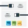 Startech PD 240W USB-C线 2 m