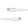 Startech Câble USB-C 3 m