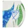 adidas MLS 25 Training football ball