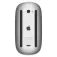 Apple Mouse magico