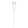 Apple Auriculars USB C