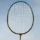 Aktive Xarxa de bàdminton
