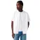 Levi´s ® Authentic Down lyhythihainen paita