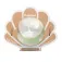 Ratatam Shell Ball 10 Cm