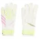 adidas Predator Training Torwarthandschuhe