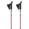 Gabel Ritmo poles