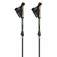 Gabel Springbok XTS poles