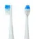 Camry CR 2158.1 Electric Brush Replacement