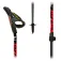 Fizan Bastons Carbon Pro Impulse