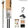 Fizan Bastons Carbon Pro Impulse