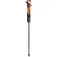 Fizan Bastons Carbon Pro Impulse