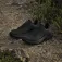 adidas Terrex Trailmaker 2.0 vandresko