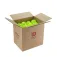 Wilson Max 40 Outdoor Case pickleballbolde