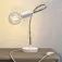 Creative cables Without Bulb Table Flex articulated table lamp with diffused light