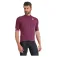 Sportful SRK short sleeve jersey