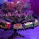 Wellhome Train de Noël