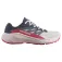 Salomon Alphaglide Goretex trail running shoes