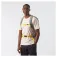Salomon Trailblazer 20L backpack