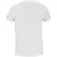 Babolat Cotton juan lebron 短袖T恤