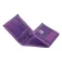 Safta Cartera Real Valladolid