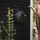 Fiskars Solid L slangevogn 31.5 m