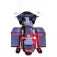 Custom dynamics Intermitentes Genesis® 4 LED 1157