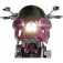Custom dynamics Intermitentes ProBEAM® Harley Davidson FLTR