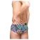 Odeclas Colin swimming brief