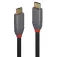 Lindy USB 3.2 USB-C cable 2 m