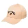 Billabong Gorra Arch