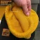 Vass Honeycombe lue