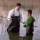 Vass Tex 600 Junior PVC wader