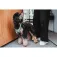 Hunter pet Adjustable 犬のリード