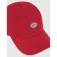 Dickies Gorra Hardwick