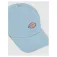 Dickies Hardwick cap