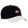 Dickies Hardwick Two Tone cap