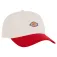 Dickies Hardwick Two Tone Kappe