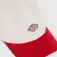 Dickies Hardwick Two Tone cap