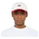 Dickies Hardwick Two Tone cap