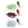 Ilba Reckless Spoon Lure 20g
