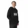 Helly hansen Core Graphic Hettegenser