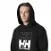 Helly hansen Core Graphic kapuzenpullover