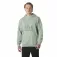 Helly hansen Moletom com capuz Core Graphic