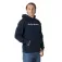 Helly hansen Core Graphic kapuzenpullover