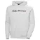 Helly hansen Core Graphic Hettegenser