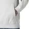 Helly hansen Core Graphic Hettegenser