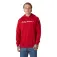 Helly hansen Core Graphic kapuzenpullover