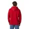 Helly hansen Core Graphic Hettegenser