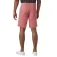 Helly hansen Pantaloni corti Dock 10´´