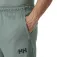 Helly hansen HP Tech 短裤